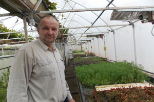 Rasadnik akvarijumskih biljaka u Somboru