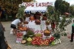 Voćarstvu u Podravini i Prigorju treba vjetar u leđa