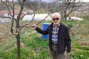 Stare sorte voća i povrća Rudolfa Pereglina