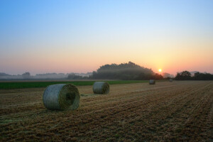 Milena Erceg bilježi fanastične seoske prizore