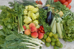 Eko proizvodi Jasmine Ćuštić