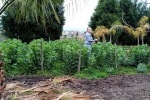 Italija, poljoprivreda, bašta