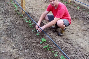 Oživjeli Hadžijin mlin, a šansu vide i u malinama