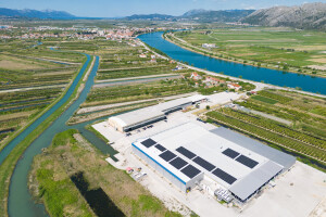 Berba i otkup jagoda