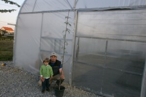 Medonosno bilje - evodija!