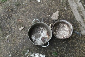 Zapuštena farma u Pavlovcu