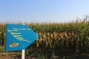 Dekalb na FarmShow 2015