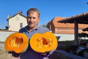 Nenad je šampion u uzgajanju bundeva