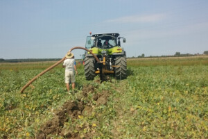 Dreniranje na Findri način!