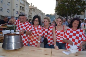 13. Ravnokotarska fišijada