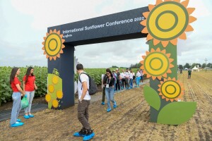 20. Međunarodna konferencija o suncokretu u Novom Sadu