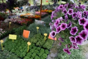 Floraart 2014