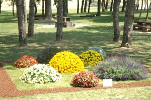 46. Floraart 2011.