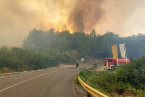 Požar u Zatonu i Raslini