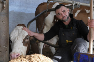 Farma "Janjić Simental Breed" u Jenjiću kod Orašja