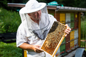 Pčelarstvo Cesar iz Razvanja kod Maribora