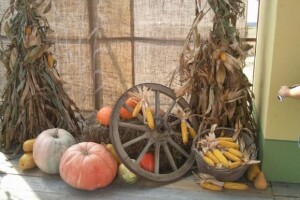 10. Etnosusreti u Bilju