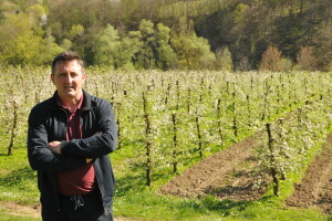 Voćnjak porodice Vajić