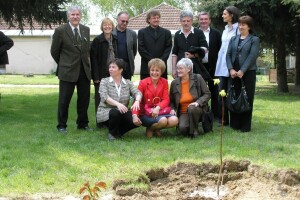 Stvoreni klonovi Gupčeve lipe