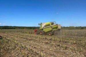 Gazdinstvo Nekšanović -  žetva suncokreta