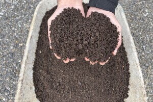 Miruju li kalifornijske gliste zimi?