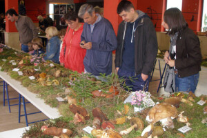 34. Izložba gljiva u Zagrebu