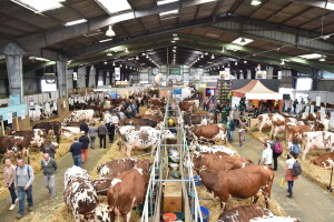 Space 2019: Mjesto susreta stočara, profesionalaca, znanosti