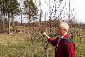 Petar Gogić, zaljubljenik u stare sorte voća