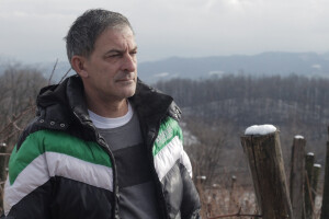 Vinogradarstvo u Laktasima