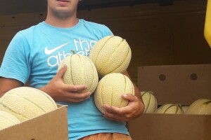 Goran Simić: Mladi poljoprivrednik s 50 plastenika najavljuje širenje proizvodnje