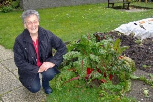 Prosječna farma u Koruškoj ima 30 grla