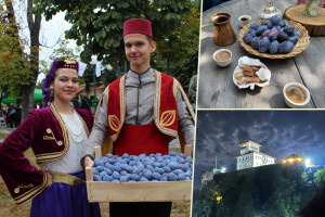 Šljiva je othranila generacije u gradu Zmaja od Bosne