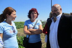 Stanje useva u Srednjem Banatu