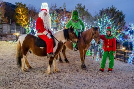 OPG Tihomir Lučić Gornji Dolac