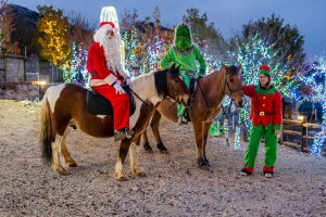 OPG Tihomir Lučić Gornji Dolac