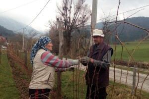 Ljubunčići ne odustaju od malina, ali sade i kupus i bave se stočarstvom