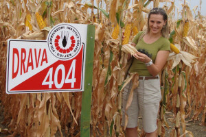 Dani polja Poljoprivrednog Instituta Osijek