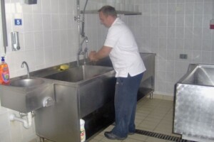 Sirana obitelji Šantić