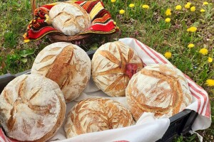 Domaći hleb iz topolske opštine