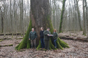 Hrvatsko šumarsko društvo