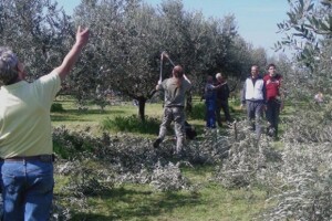 Poljoprivreda u neretvanskom Slivnu i na Drveniku