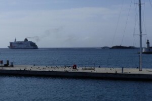 SCARYBIRD - Efikasno i na moru protiv galebova