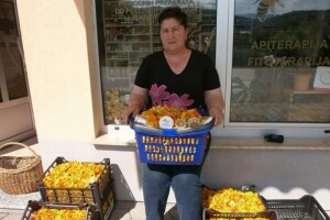 U prirodi je lijek za sve: Kako Gerzići pčelama i biljem liječe razne boljke