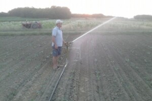 Idrofoglia Jolly turbocar