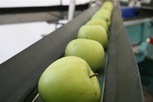 6. Znanstveno-stručno savjetovanje hrvatskih voćara