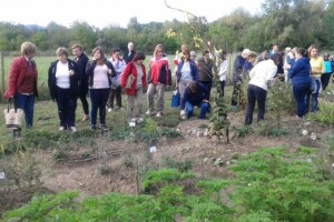 Razmjena starih sorti sjemenja