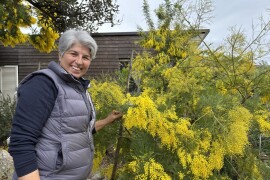Na Malom Lošinju dvoje Talijana jedini uzgajivači eko povrća i voća