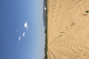 OPG Ivica Babojelić