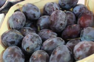 45. Sajam šljive u Gradačcu