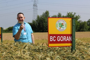 Sedma sila u Rugvici kod BC Instituta